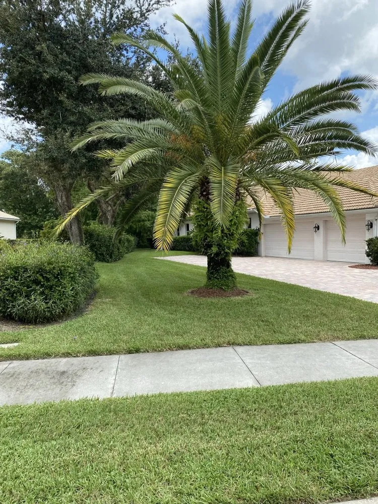Professional outdoor landscaping for year-round maintenance across Sarasota, FL - Lighthouse Lawn Care
