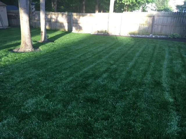 Trusted yard cleanup service for beautiful yards across Kutztown, PA - Lighthouse Lawns LLC