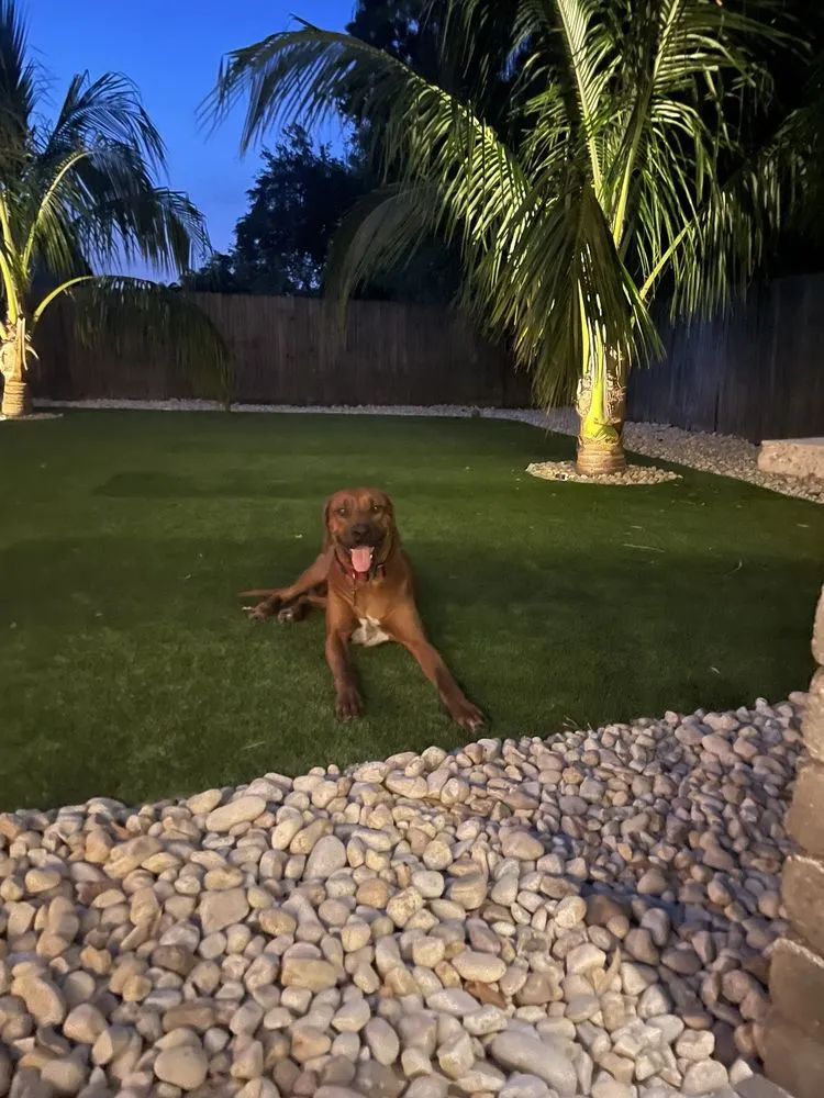 Affordable garden landscaping in Melbourne, FL by Lighthouse Pavers