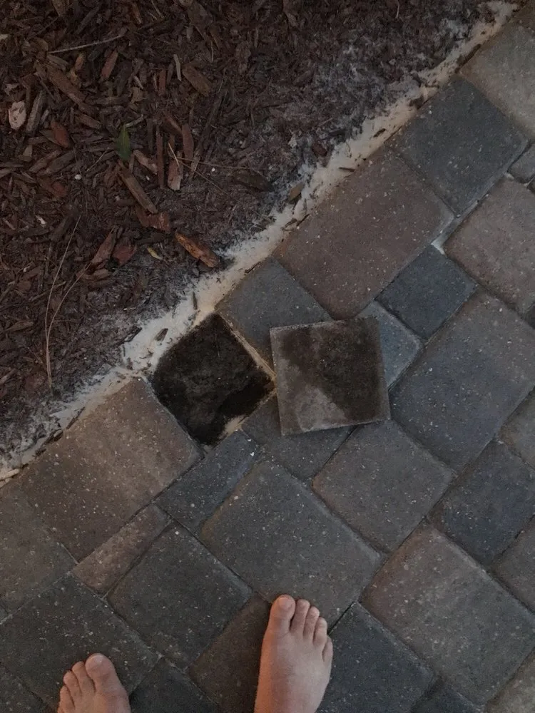 Local lawn care service in Melbourne, FL - Lighthouse Pavers