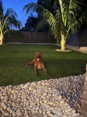 Lighthouse Pavers Logo