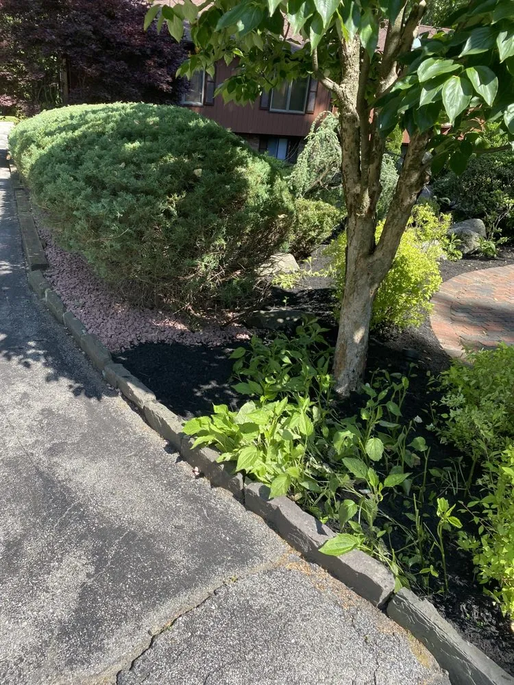 Expert yard cleanup service near you in Peekskill, NY by Lighting Landscaping