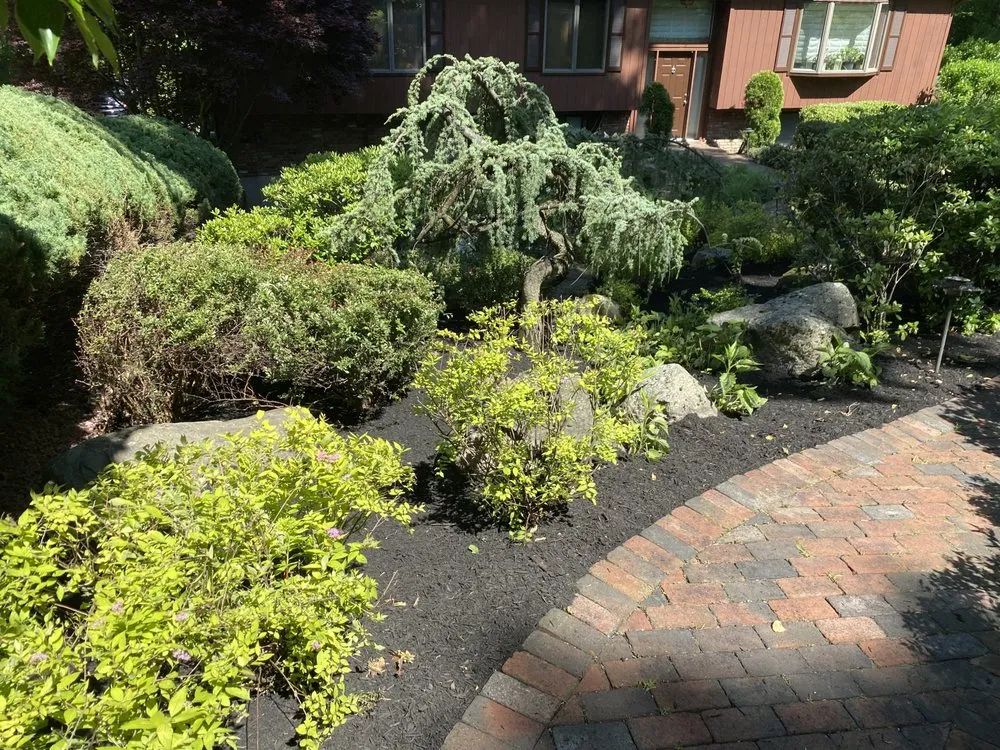 Reliable yard cleanup service for outdoor upgrades across Peekskill, NY - Lighting Landscaping