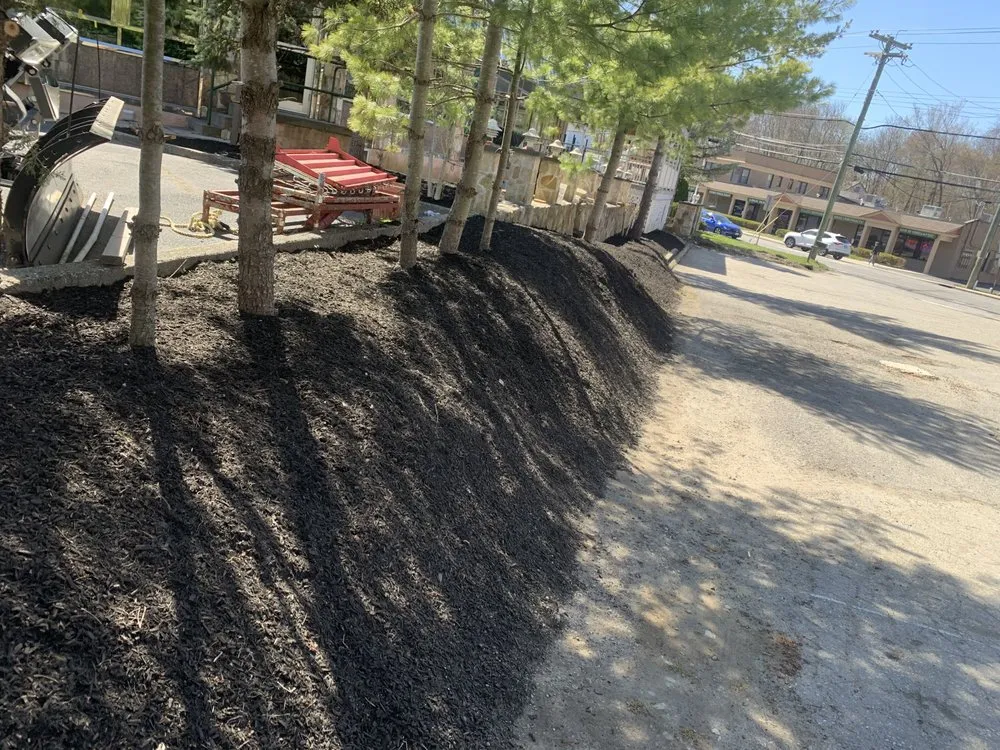 Expert lawn care service for residential properties in Peekskill, NY by Lighting Landscaping