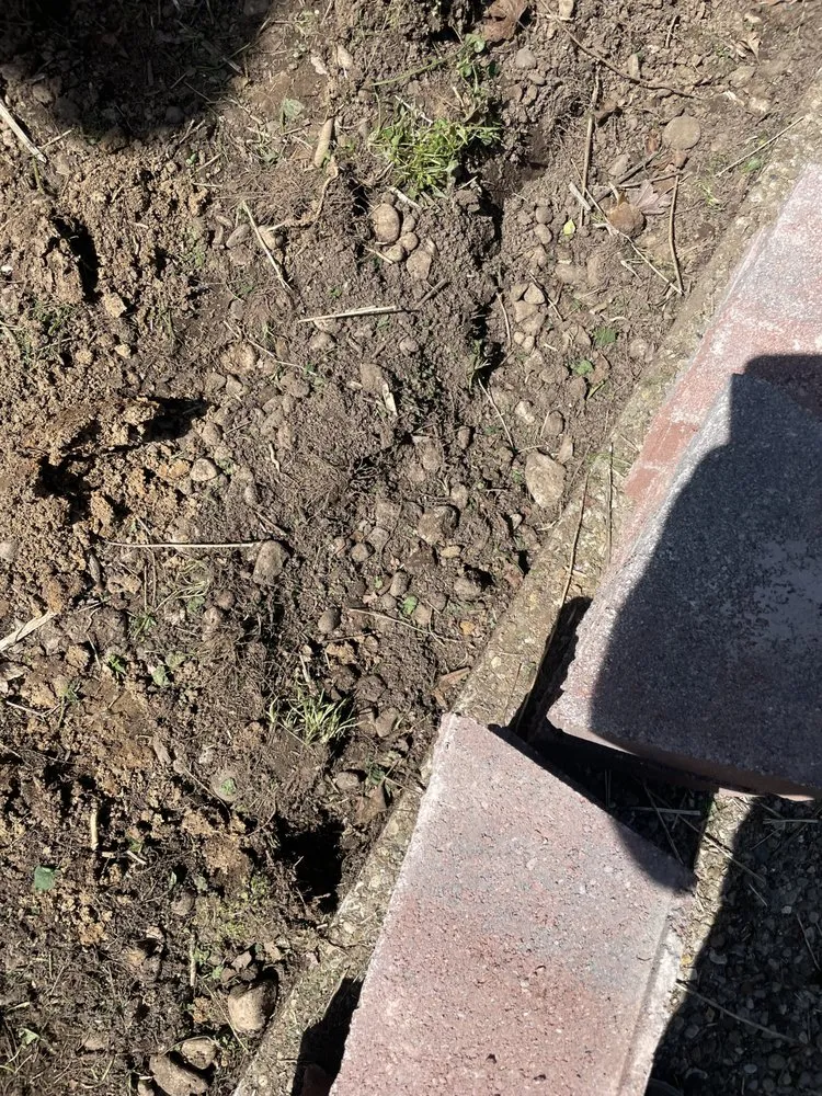 Affordable outdoor landscaping in Louisville, KY - Lightning Bolt Landscaping