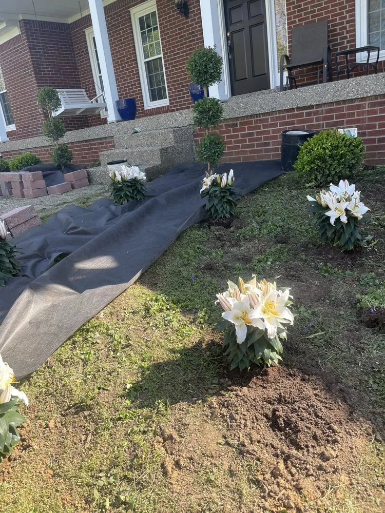 Local lawn care service in Louisville, KY by Lightning Bolt Landscaping