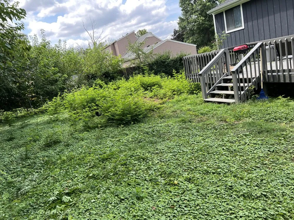 Professional residential landscaping in Louisville, KY by Lightning Bolt Landscaping