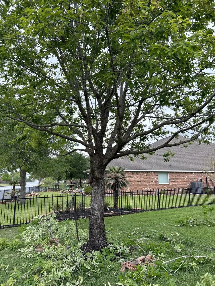 Local garden landscaping in Richmond, TX by Lightning bolt