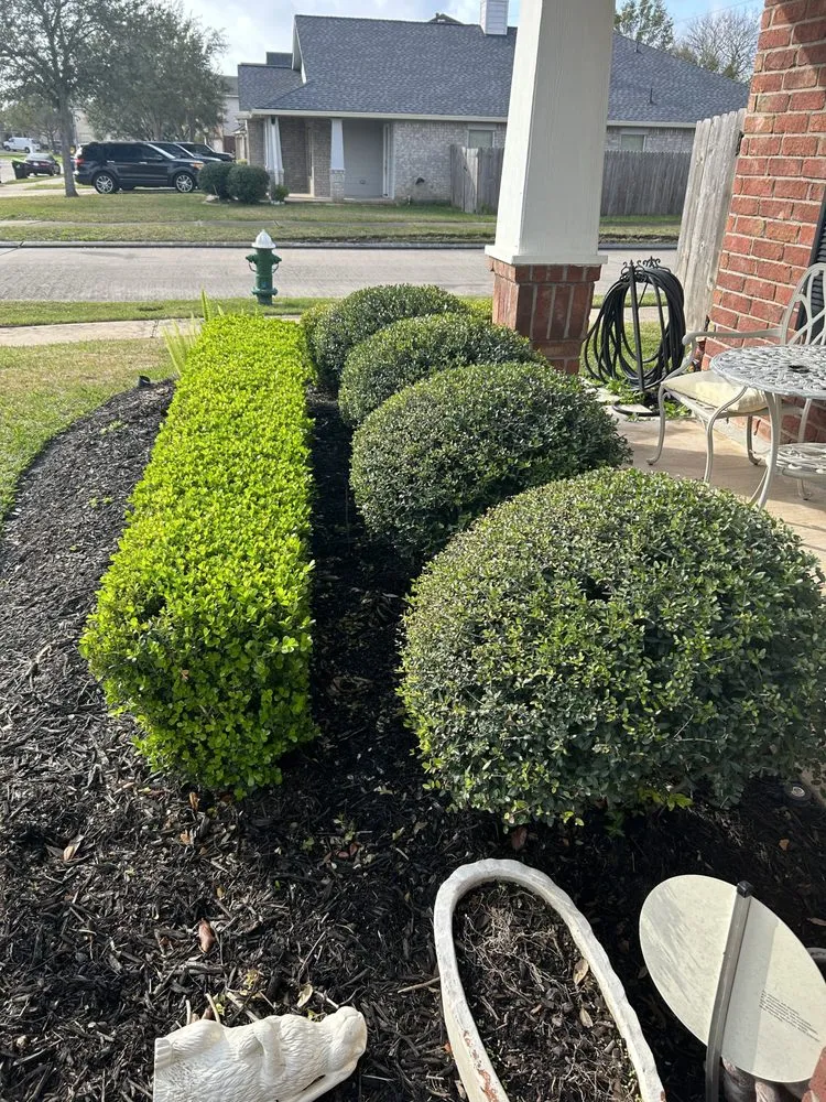 Expert landscaping services experts serving Richmond, TX - Lightning bolt