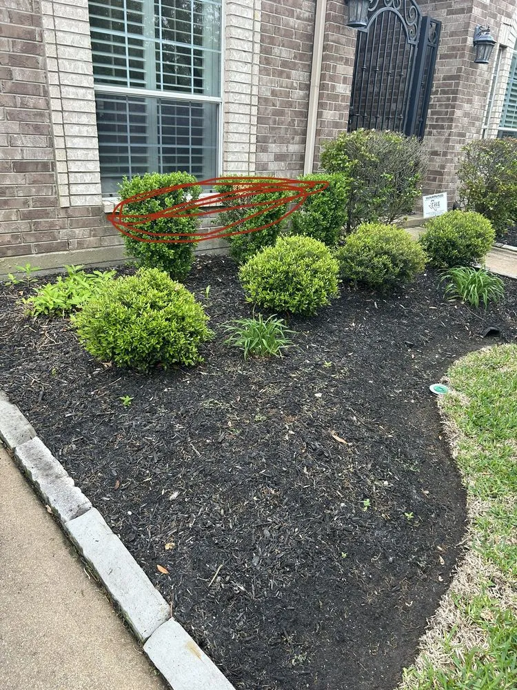 Professional residential landscaping experts serving Richmond, TX - Lightning bolt