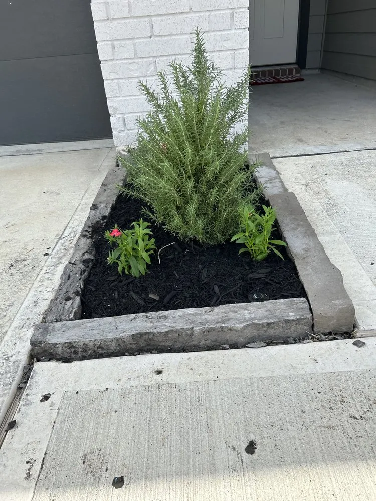 Top-rated landscape design in Richmond, TX - Lightning bolt