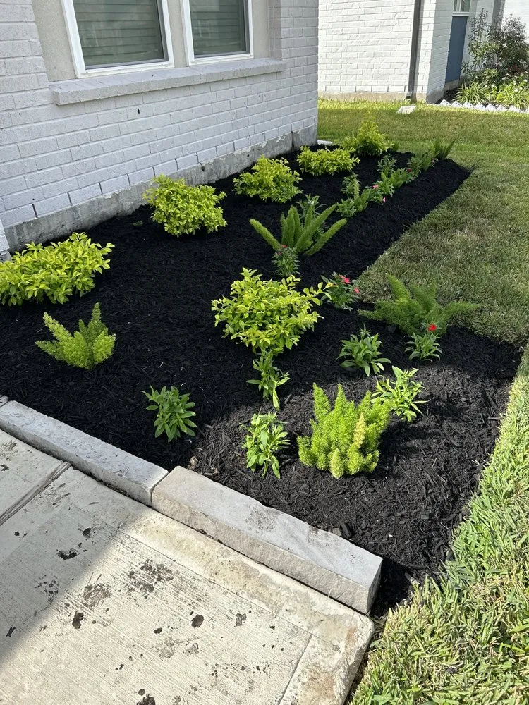 Professional yard maintenance for outdoor upgrades across Richmond, TX - Lightning bolt