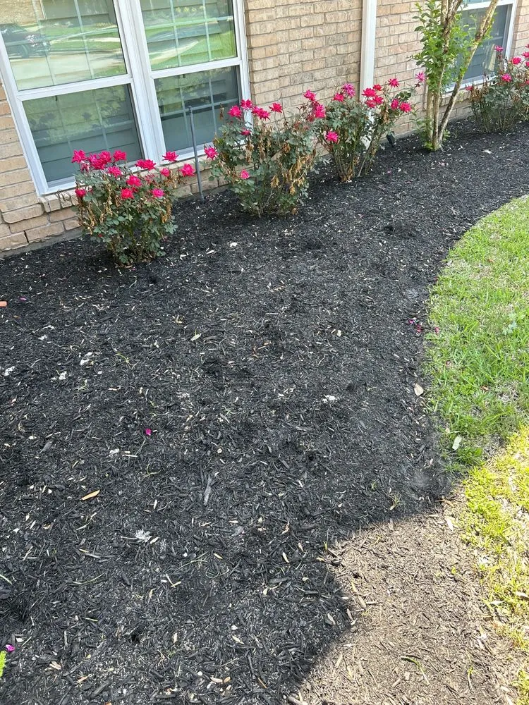 Expert yard maintenance in Richmond, TX by Lightning bolt