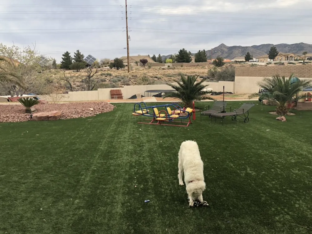Custom landscape installation for year-round maintenance in Kingman, AZ by Lightning Enterprises Landscape