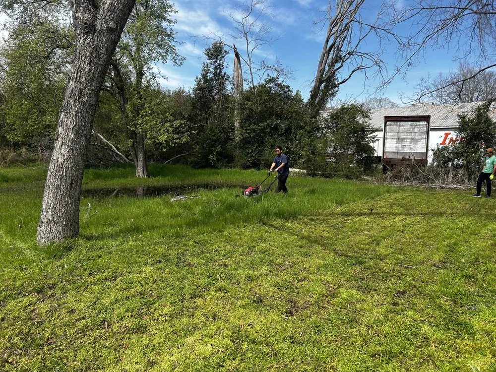 Top-rated landscaping services in Columbia, SC by Lightning Landscaping