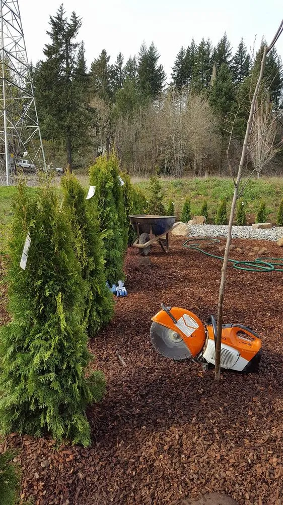 Local landscaping services in Ridgefield, WA by Lightning Landscaping