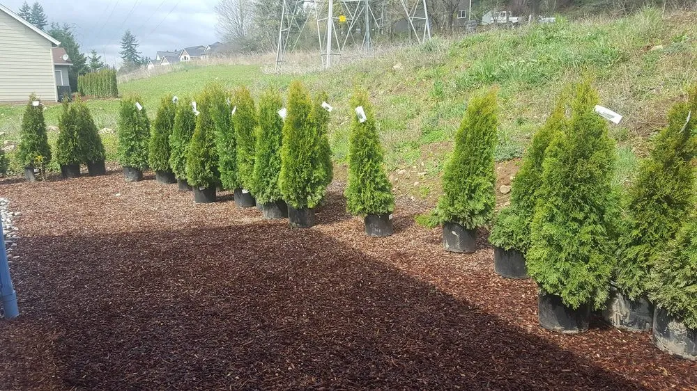 Custom landscape installation in Ridgefield, WA by Lightning Landscaping