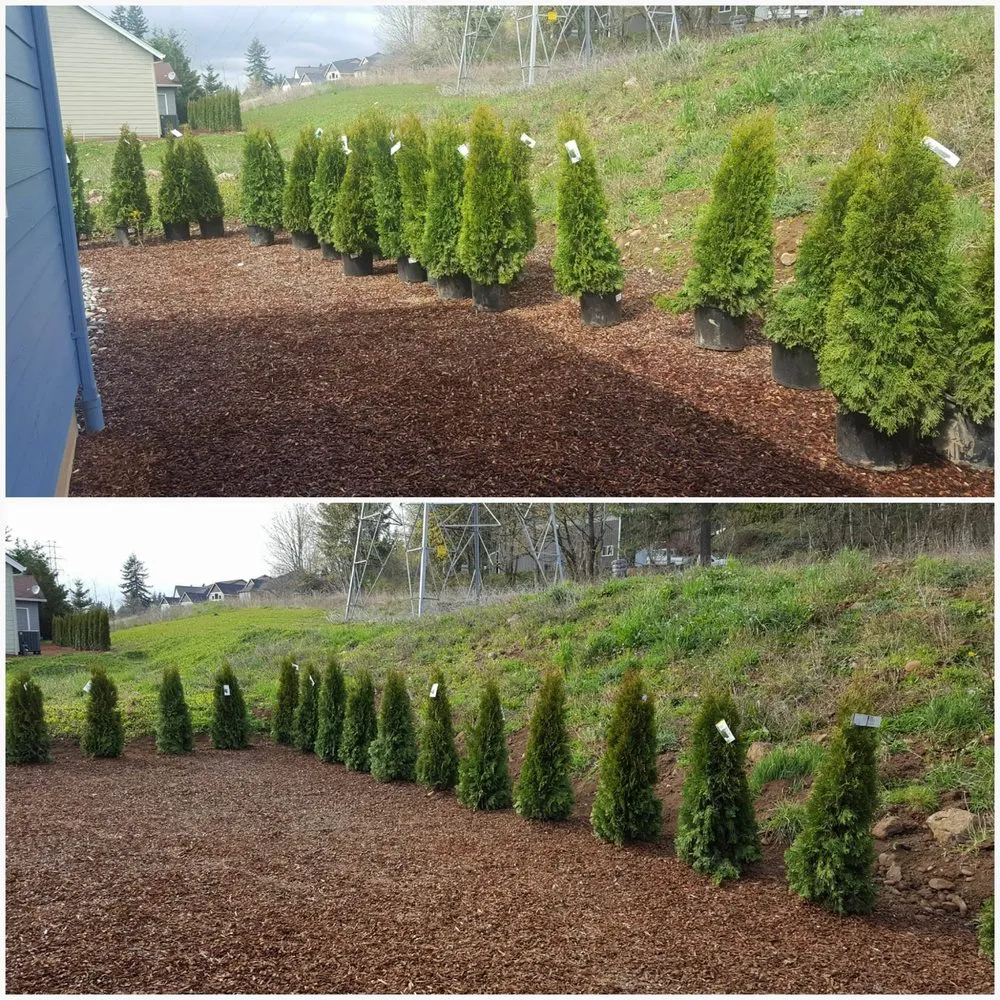 Reliable outdoor landscaping in Ridgefield, WA - Lightning Landscaping