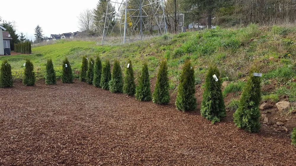 Reliable landscape installation with custom design across Ridgefield, WA - Lightning Landscaping
