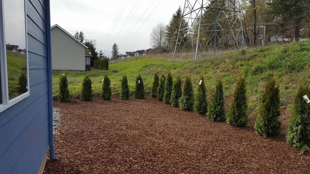 Custom yard cleanup service in Ridgefield, WA - Lightning Landscaping