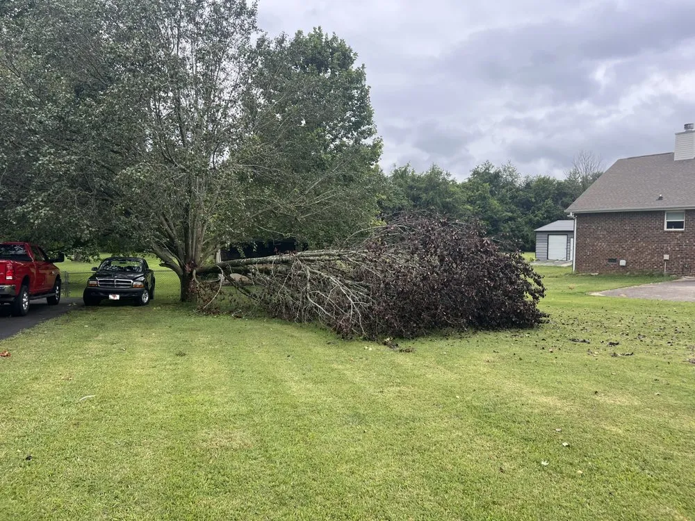 Custom lawn care service near you in Murfreesboro, TN by Lightning Lawn Care