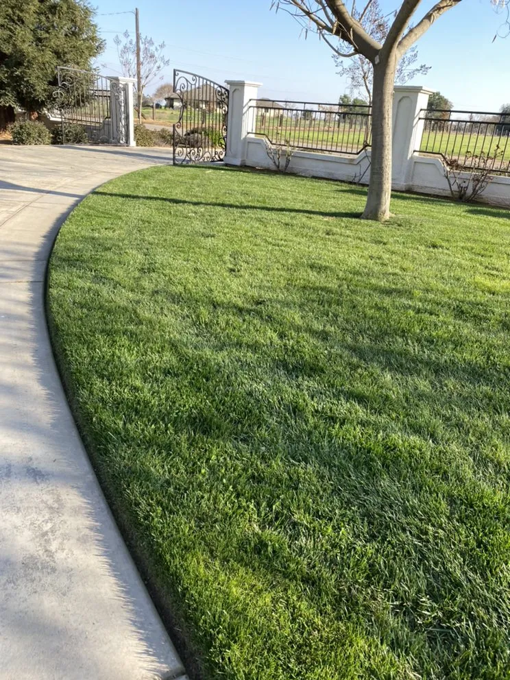 Reliable landscaping services in Fresno, CA - Lightning lawn service