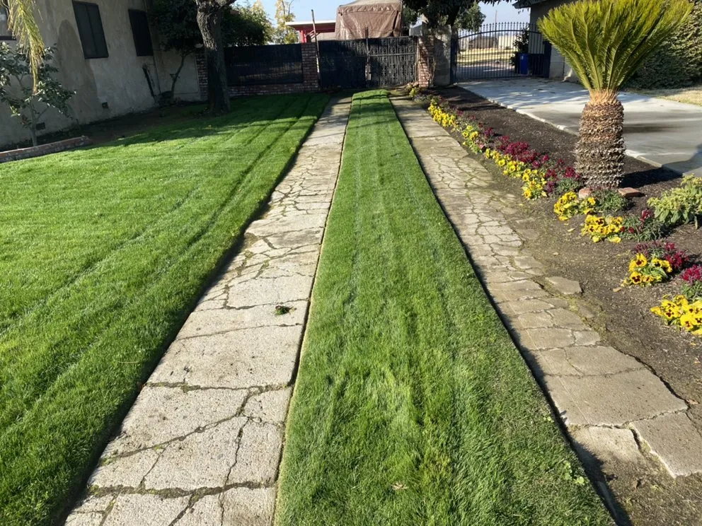 Expert landscape installation for year-round maintenance in Fresno, CA by Lightning lawn service