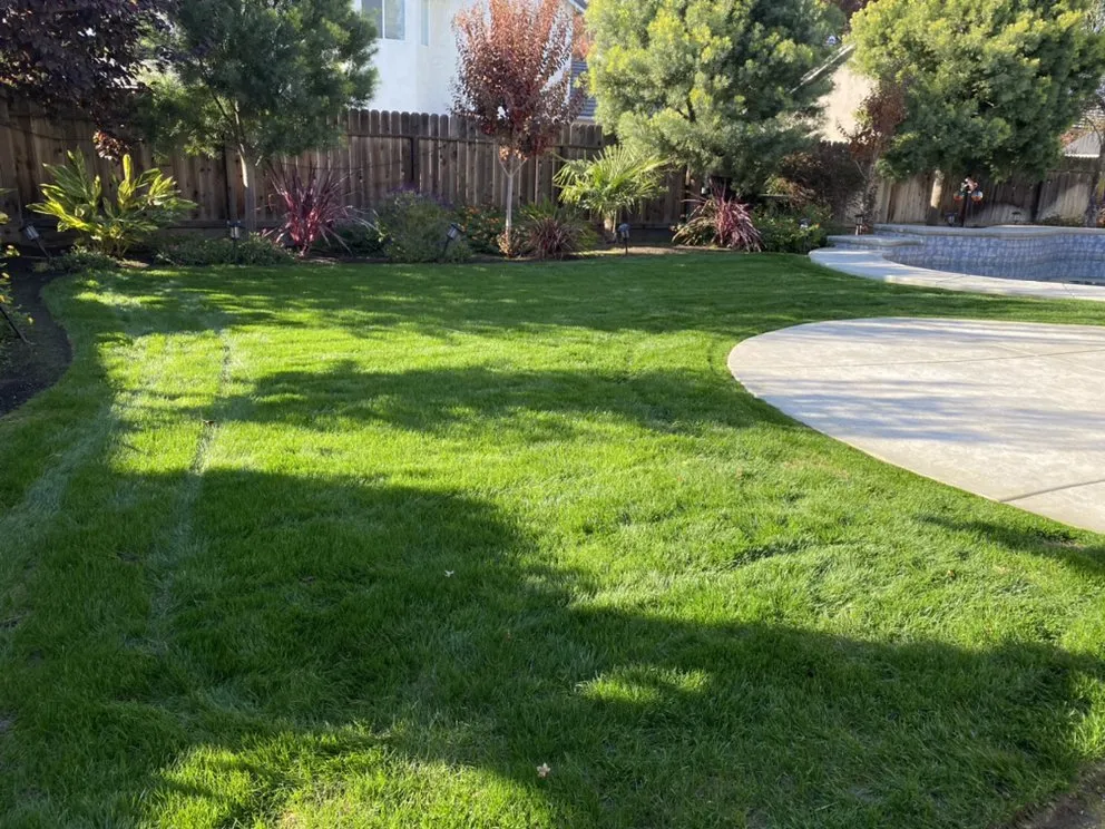 Expert lawn mowing service for beautiful yards in Fresno, CA by Lightning lawn service