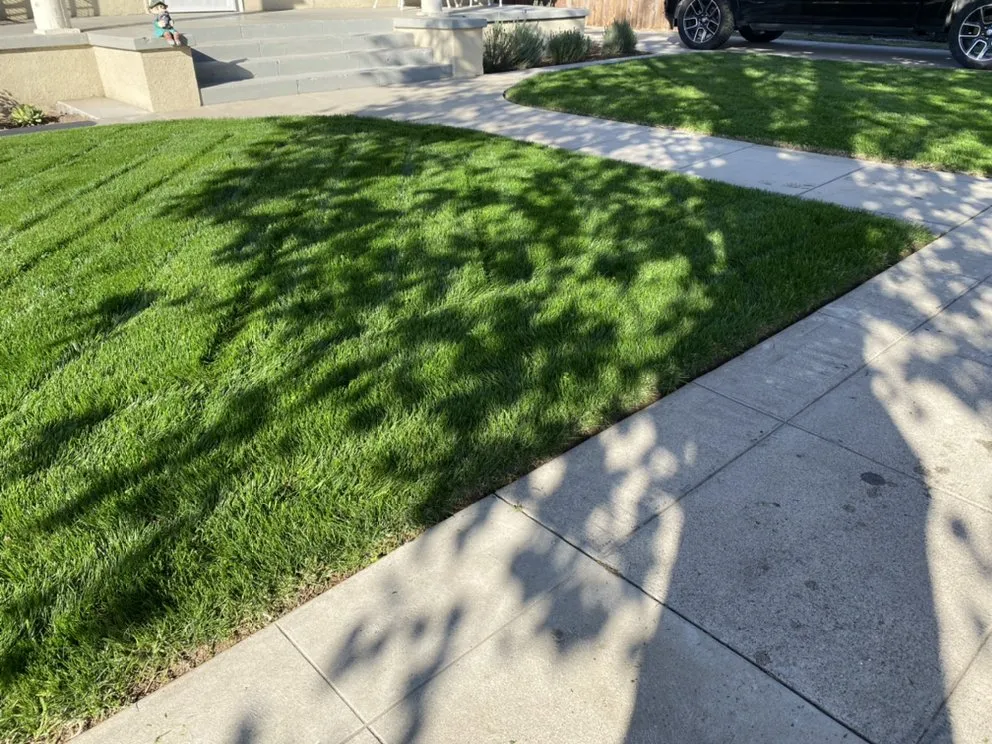 Custom landscape installation experts serving Fresno, CA - Lightning lawn service