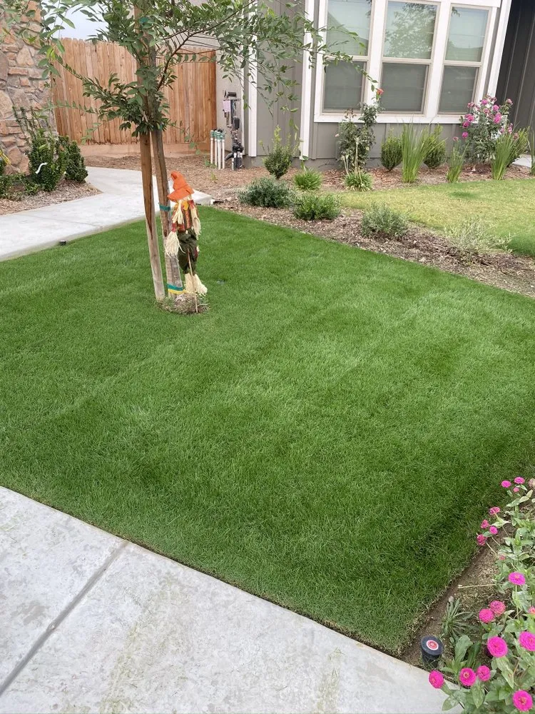 Affordable yard maintenance near you in Fresno, CA by Lightning lawn service