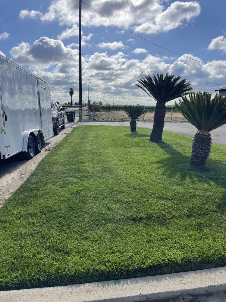 Affordable landscape installation for outdoor upgrades across Fresno, CA - Lightning lawn service