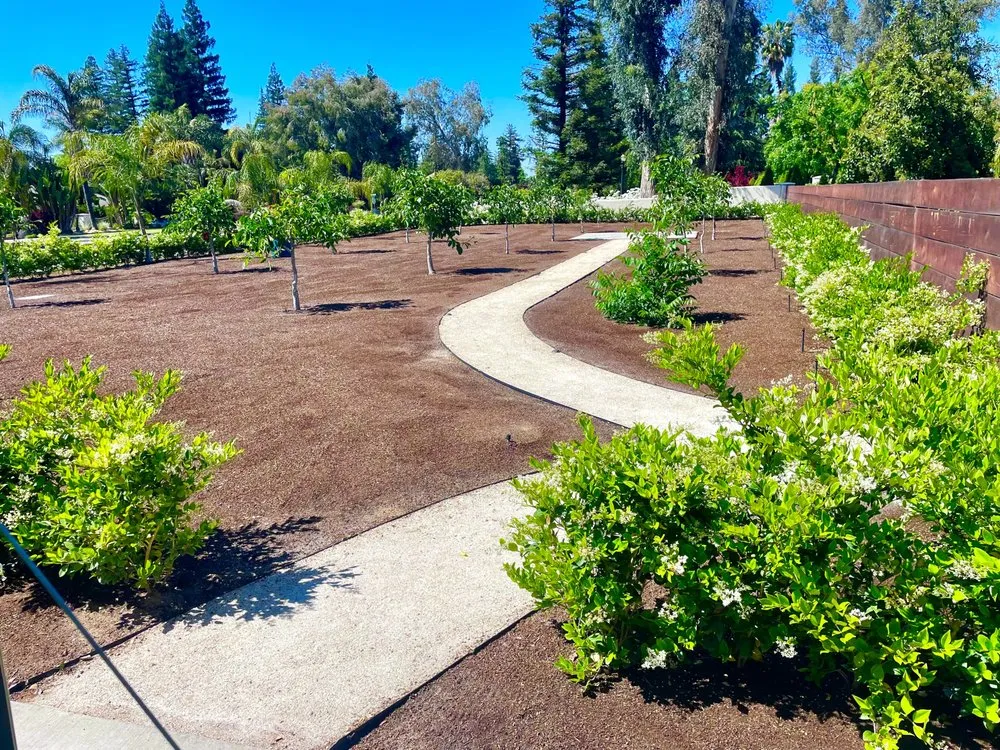 Reliable outdoor landscaping experts serving Fresno, CA - Lightning lawn service