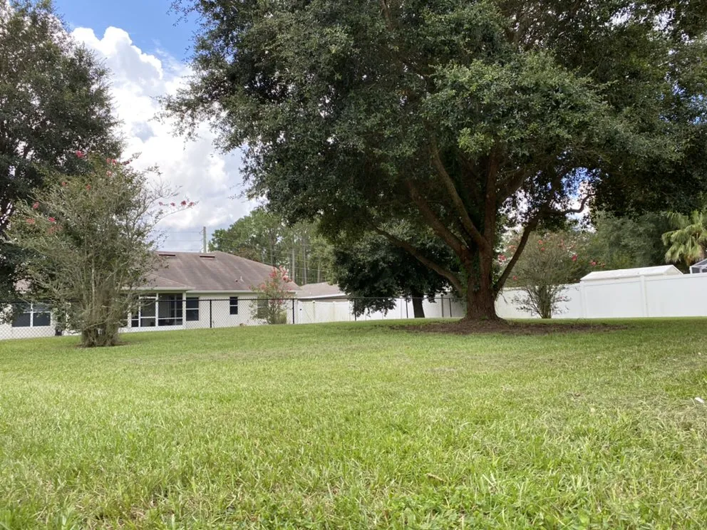 Local lawn care service for year-round maintenance in Samsula-Spruce Creek, FL by Lightning Lawn Services