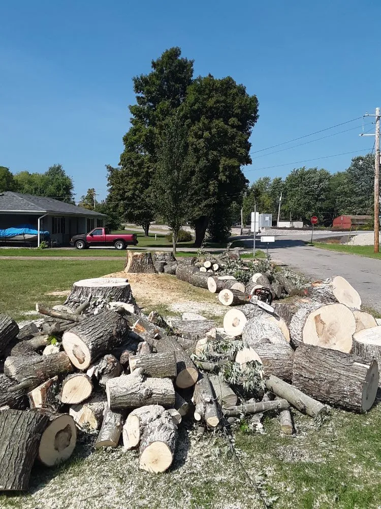 Local yard maintenance in Richland, MO by Lightning Lawns