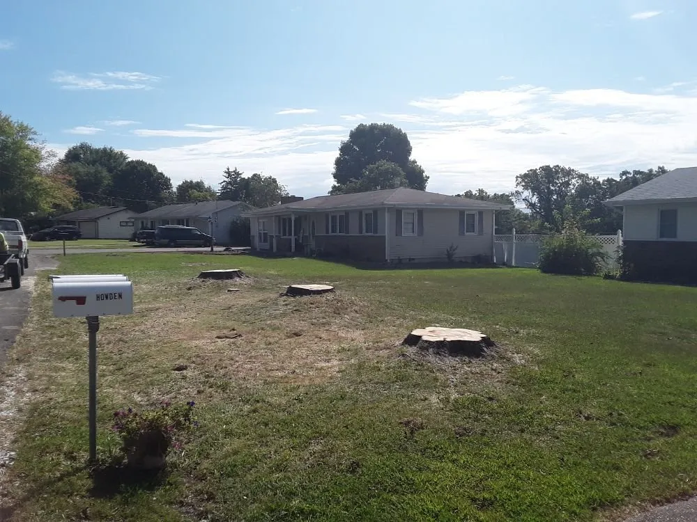 Professional lawn care service in Richland, MO by Lightning Lawns