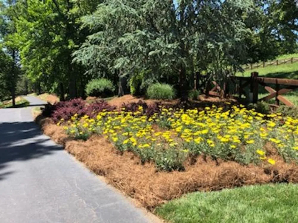 Expert lawn mowing service in Lawrenceville, GA - lightning pinestraw & landscaping