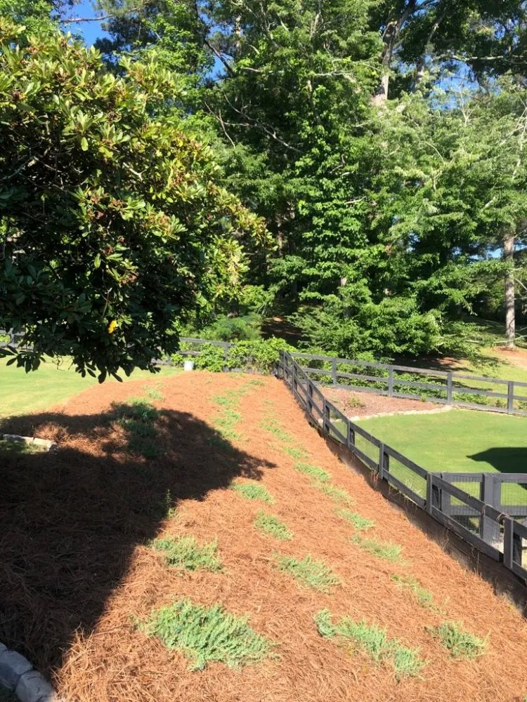 Top-rated landscape design in Lawrenceville, GA by lightning pinestraw & landscaping