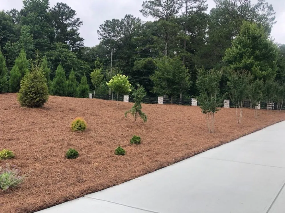 Reliable landscape installation experts serving Lawrenceville, GA - lightning pinestraw & landscaping