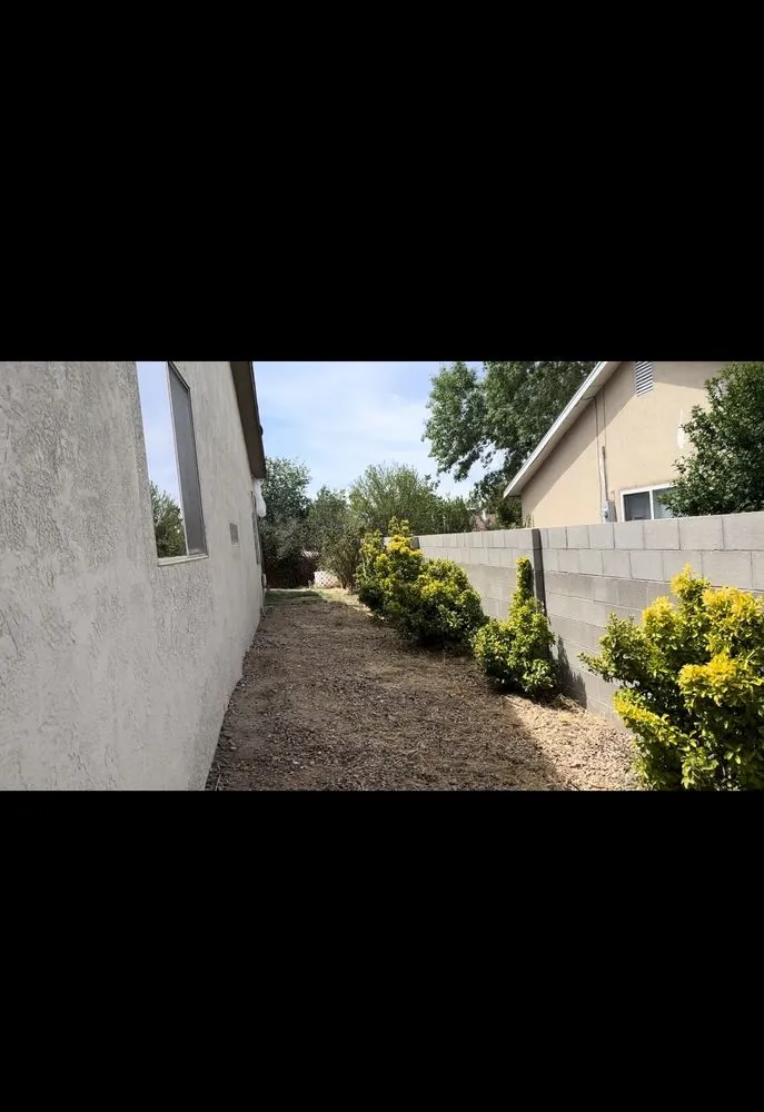 Professional landscape installation in Albuquerque, NM by Lightning Services