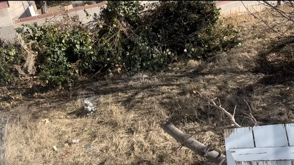 Affordable landscape design for outdoor upgrades across Albuquerque, NM - Lightning Services