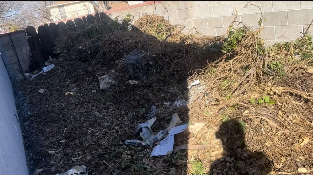 Local landscape installation for year-round maintenance in Albuquerque, NM by Lightning Services