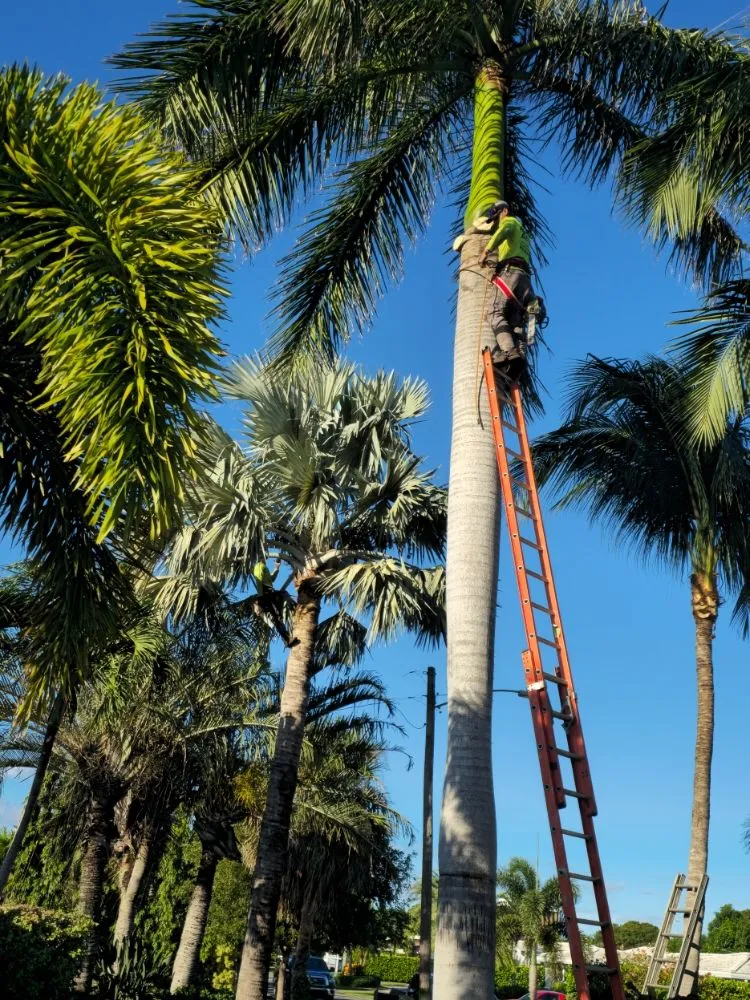 Expert garden landscaping experts serving fort lauderdale, FL - Lightning Tree Service
