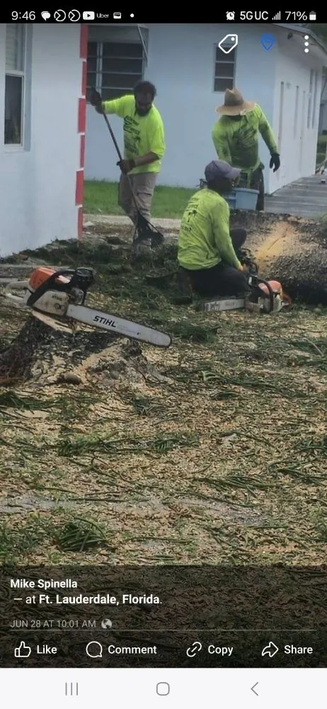 Top-rated outdoor landscaping for beautiful yards in fort lauderdale, FL by Lightning Tree Service