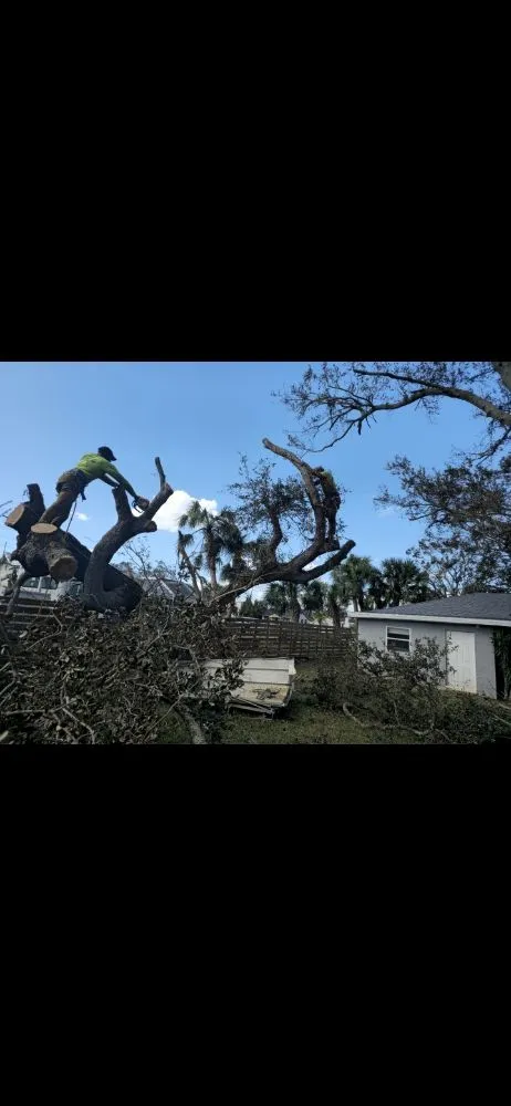 Trusted yard maintenance for homes across fort lauderdale, FL - Lightning Tree Service