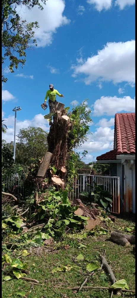 Trusted outdoor landscaping near you in fort lauderdale, FL by Lightning Tree Service