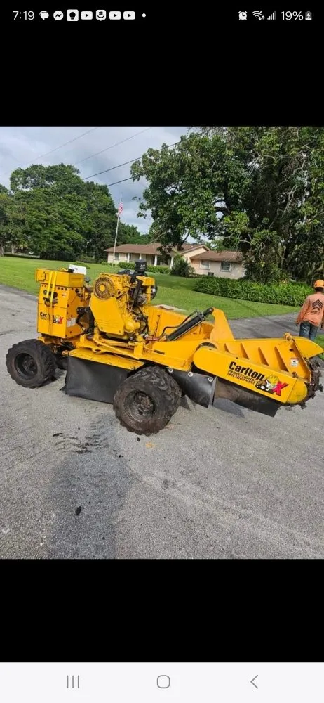 Reliable lawn care service for outdoor upgrades in fort lauderdale, FL by Lightning Tree Service