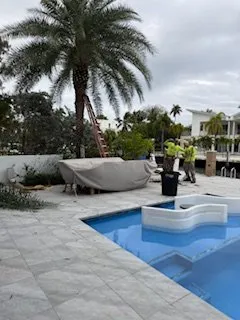 Affordable yard maintenance for beautiful yards in fort lauderdale, FL by Lightning Tree Service