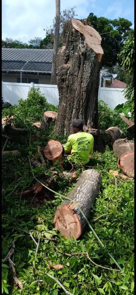 Affordable garden landscaping for homes across fort lauderdale, FL - Lightning Tree Service
