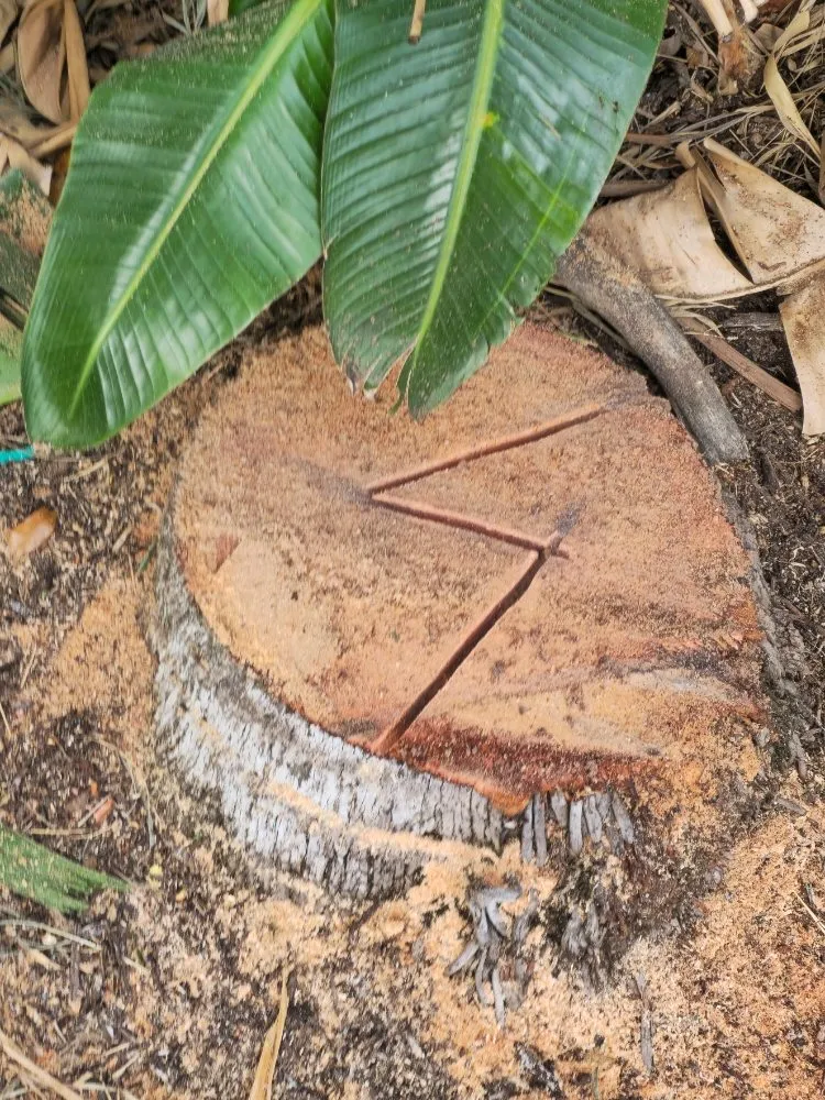 Top-rated garden landscaping for year-round maintenance across fort lauderdale, FL - Lightning Tree Service