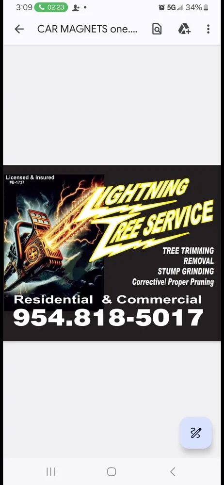 Affordable residential landscaping experts serving fort lauderdale, FL - Lightning Tree Service